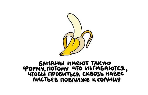 Короткие интересные факты на все случаи жизни