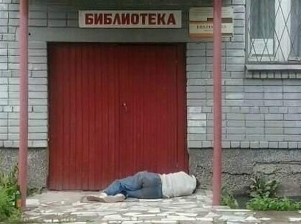 И даже рядом с библиотекой спится отлично библиотека, библиотеки, книги, книголюбы, подборка, прикол, юмор