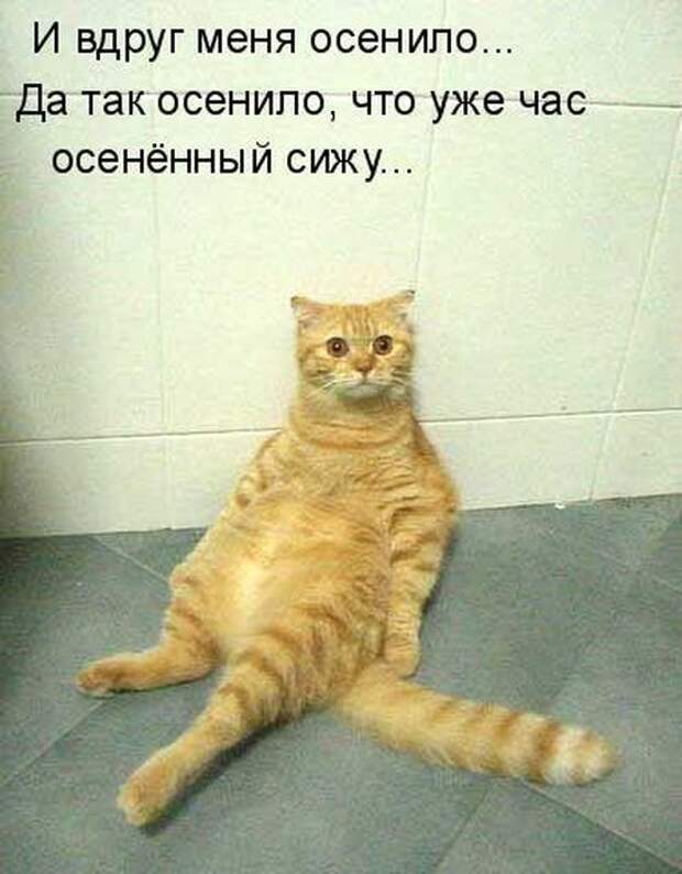 Мысли вслух :)