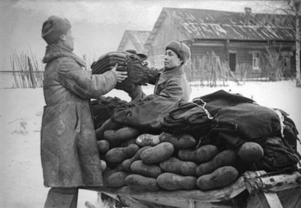 45 откровенных фактов о русском народе россия, русские, факты