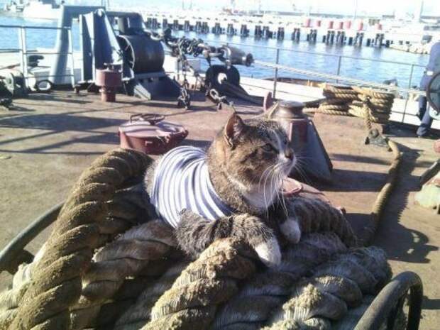 Приколы в фотографиях