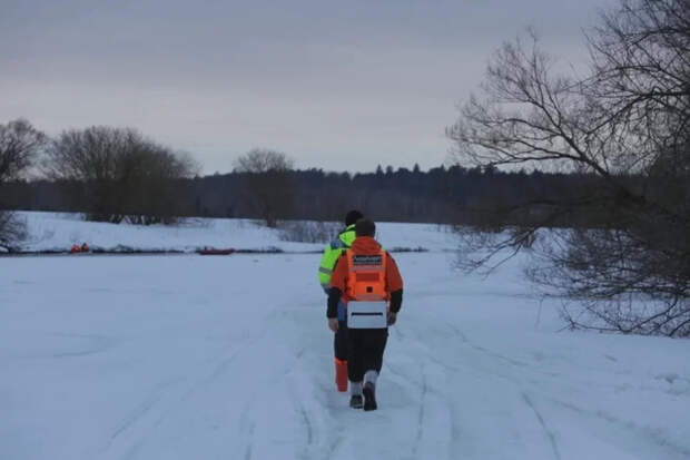 В «ЛизаАлерт» рассказали новые детали поиска пропавших в Звенигороде детей