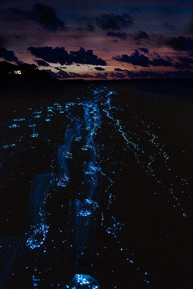 Места, которые нужно увидеть воочию SurrealPlaces29 Места, которые нужно увидеть воочию