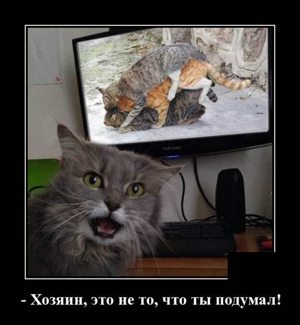 Демотиваторы (20 фото)