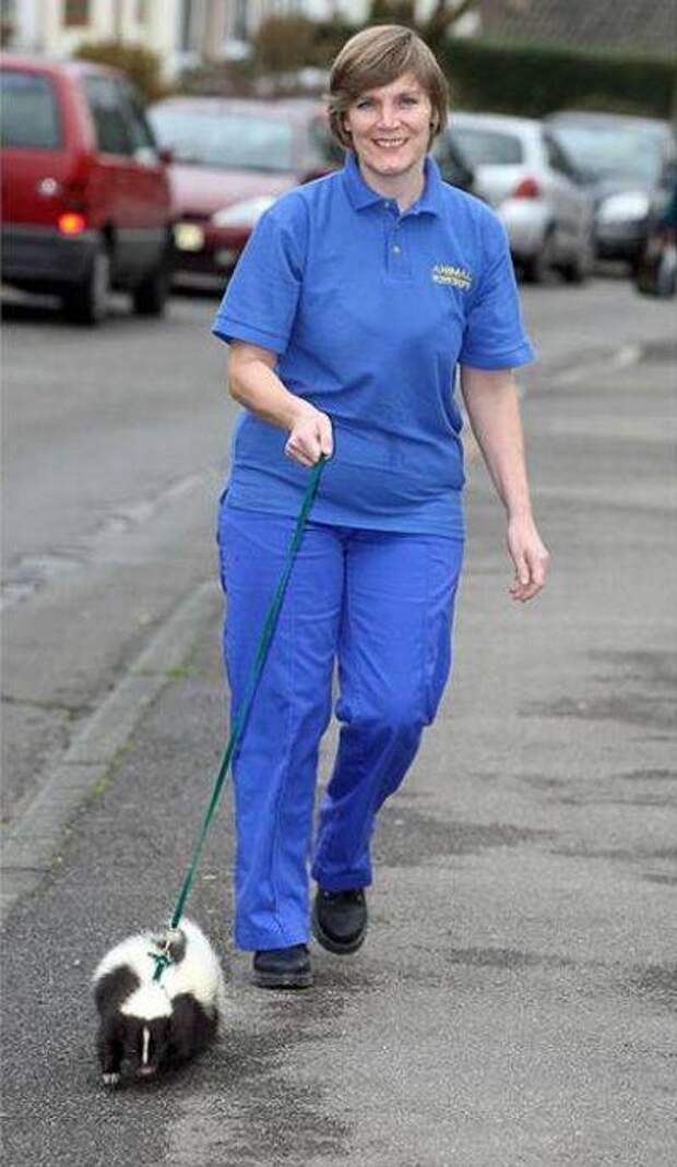 strange pet walking12