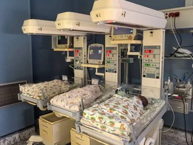 На Кубани родилась первая в этом году тройня. Счастья!