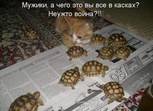 Забавности с надписями