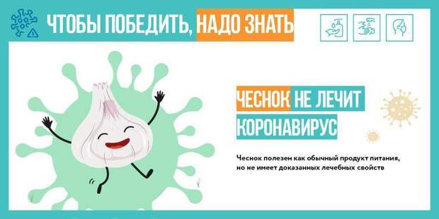 инфографика alt