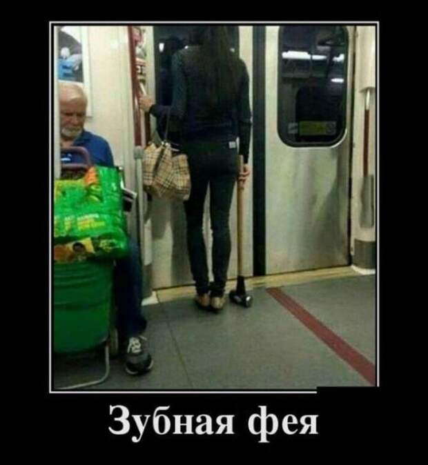 15 очень смешных снимков, которые точно поднимут вам настроение
