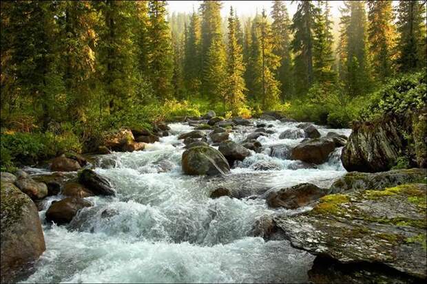 Красота Сибири (44 фото) Красота Сибири (44 фото)