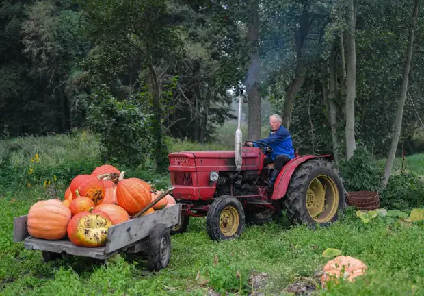 Самоограничения: почему в бундестаге вновь подняли вопрос о снятии санкций ЕС с России