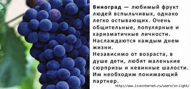 виноград (650x304, 123Kb)