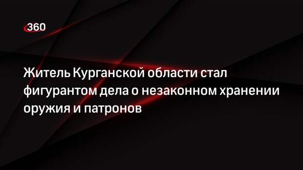 Житель Курганской области стал фигурантом дела о незаконном хранении оружия и патронов
