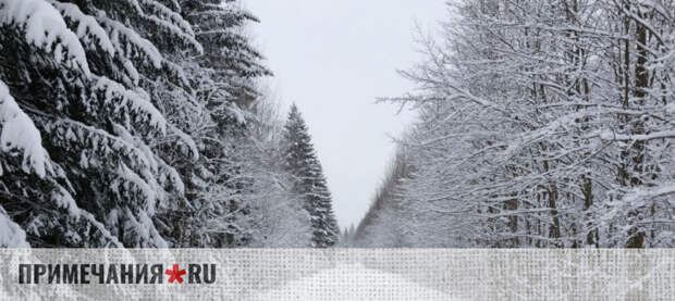 Снежные переметы сковали крымские трассы: «Крымавтодор» назвал самые опасные участки