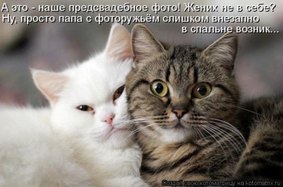 1359321723_96696262_large_1330447882__035 (570x377, 55Kb)
