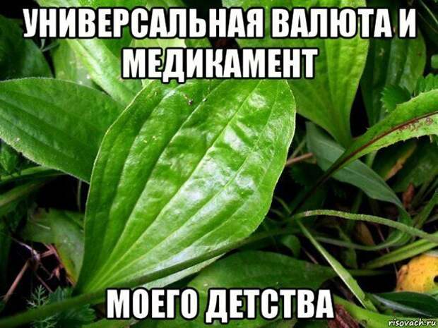 Смотришь - и настроение улучшается! Смотришь - и настроение улучшается!
