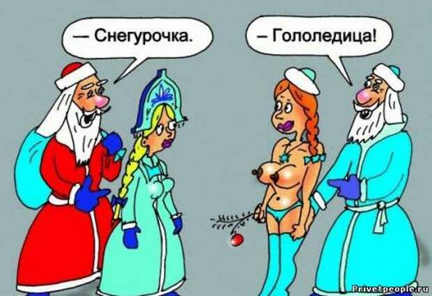 Смешные и очень прикольные карикатуры про Новый Год (19 фото)