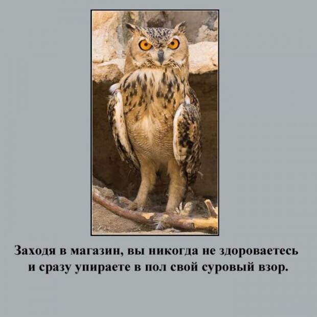 турист, факт, юмор