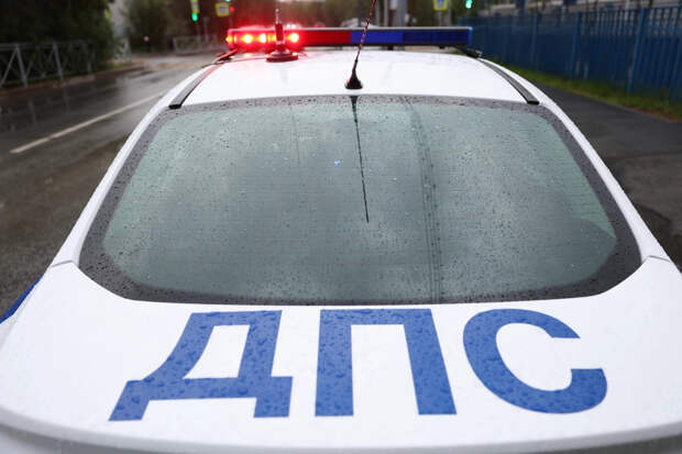 Друг Адама Кадырова прервал молчание. И оставил ещё больше вопросов