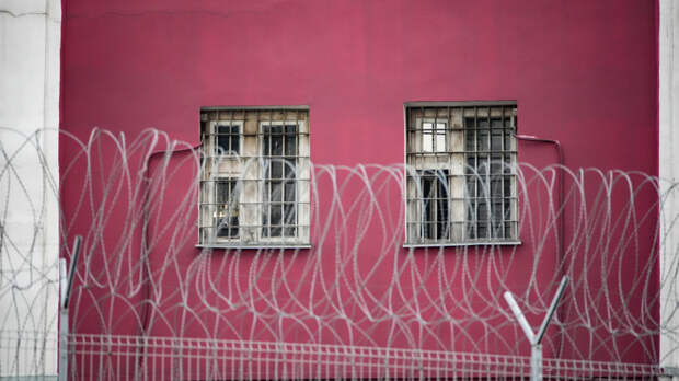 Депутат предложила провести амнистию для тяжелобольных матерей вслед за Лерчек