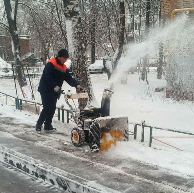 Уборка/фото ГБУ "Жилищник"