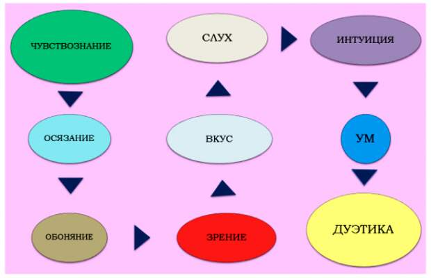 ЧУВСТВОЗНАНИЕ и связь с чувствами