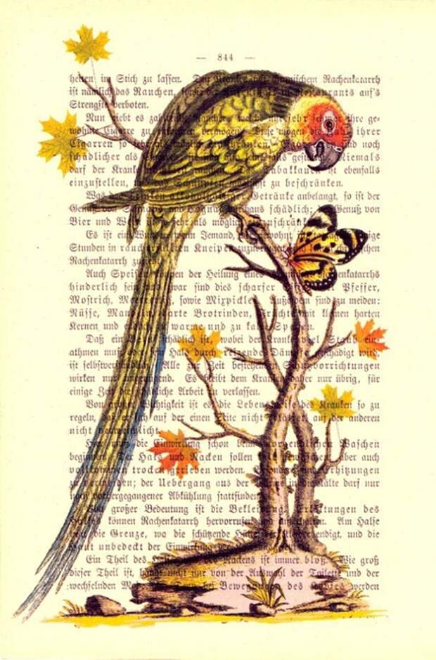 принты на книжных страницах (86) (462x700, 268Kb)