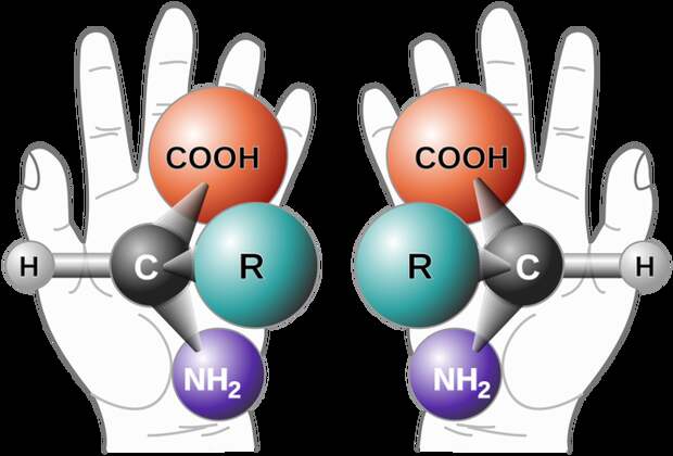 Зеркальные молекулы