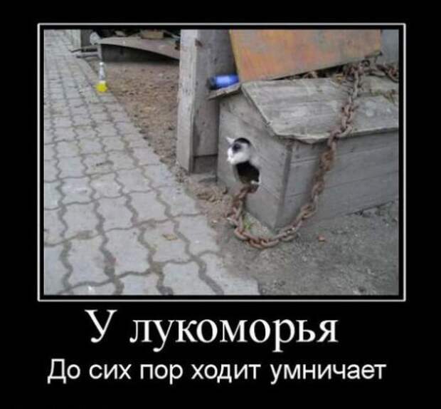 Новые прикольные демотиваторы июня