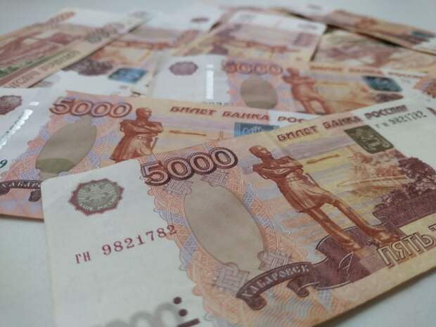 В Тульской области на Госуслугах запущен реестр неплательщиков алиментов