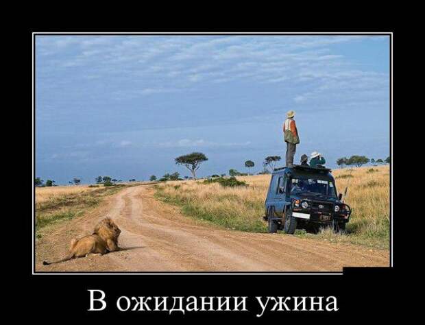 Демотиваторы (30 фото)