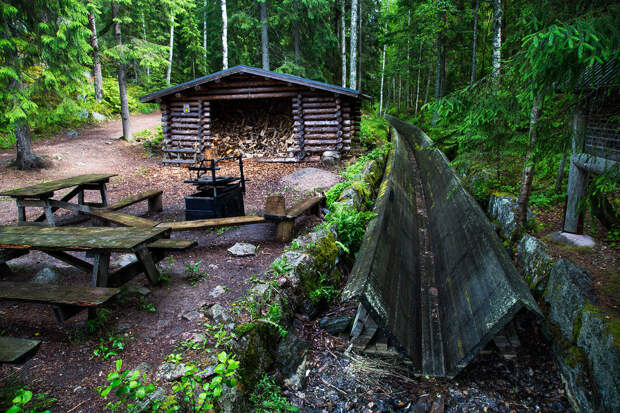 Что придумали в Финляндии, чтобы избавиться от мусора на природе и лесных пожаров