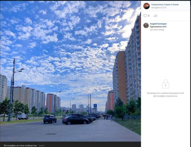 Фото дня: белогривые лошадки над Некрасовкой