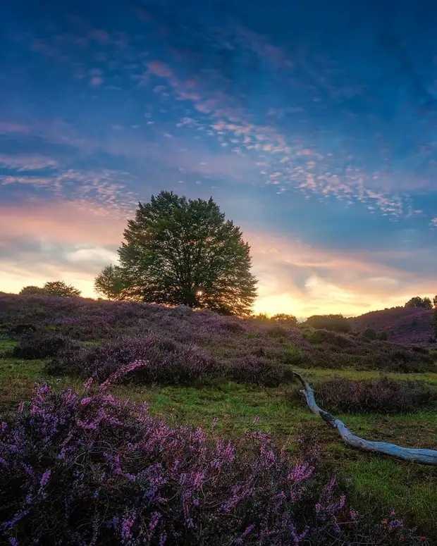 ��������� ����