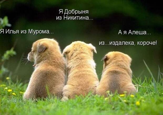 Мысли вслух :)