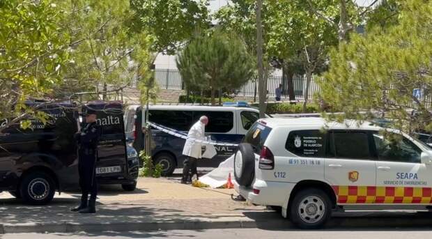 В Испании раскрыли возможную судьбу убийцы экс-советника Януковича