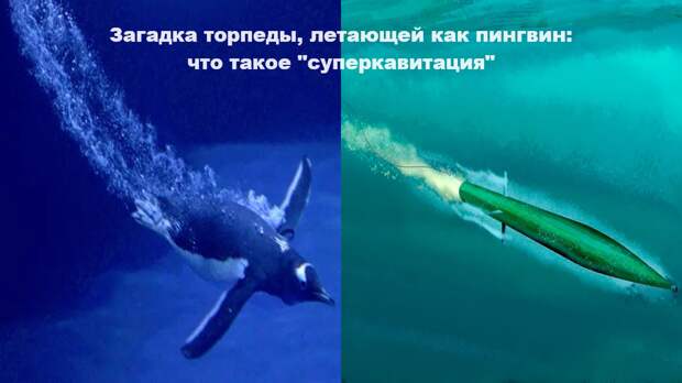 Загадка торпеды, летающей как пингвин: что такое суперкавитация? Это новый вид оружия или прорыв в судоходстве?