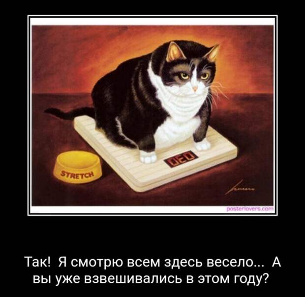 Самые весомые последствия новогодних праздников и каникул Самые весомые последствия новогодних праздников и каникул