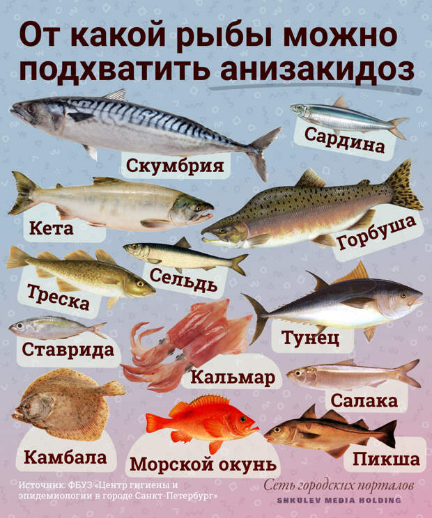 Анизакидоз встречается в морской рыбе и моллюсках