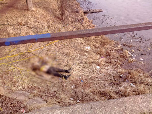 В Тверской области пожилой мужчина упал с моста и погиб