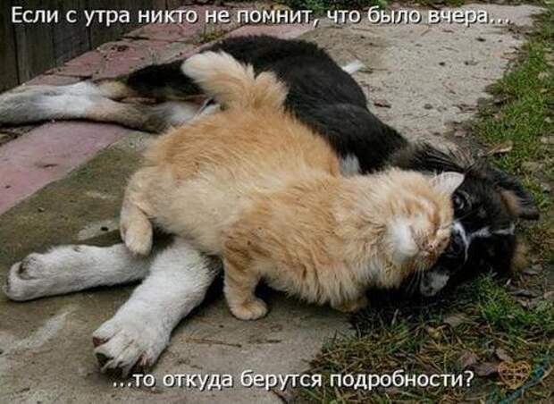 Продолжаем подготовку к Новому Году.