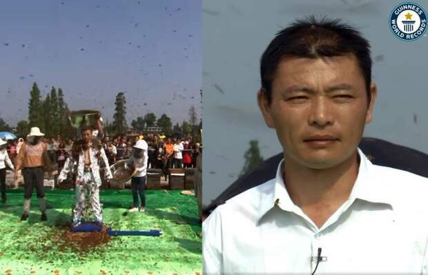 Китаец попал в Книгу рекордов, покрыв себя 63 кг пчел