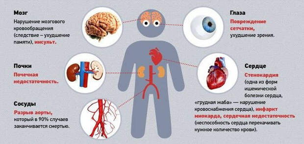 10 рецептов лечения гипертонии. Снижаем давление безопасно и без вреда для организма