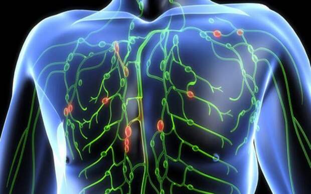Признаки закупорки лимфатической системы