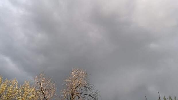 Небо над Донецком сейчас https://t.me/webmoney_dn/319760Video: Видео от Донецкая группа новостей|Донецк.ДНР