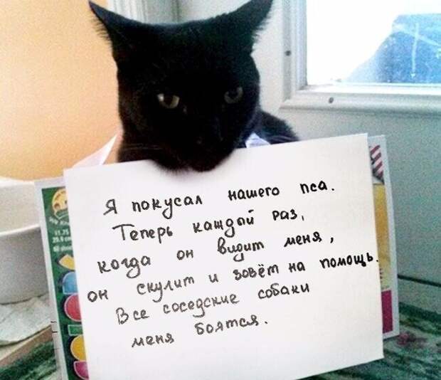Многие вещи теперь стали понятными Многие вещи теперь стали понятными