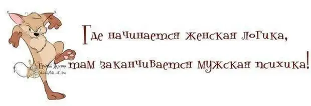 Женская логика создана для того чтобы офигела мужская психика картинки