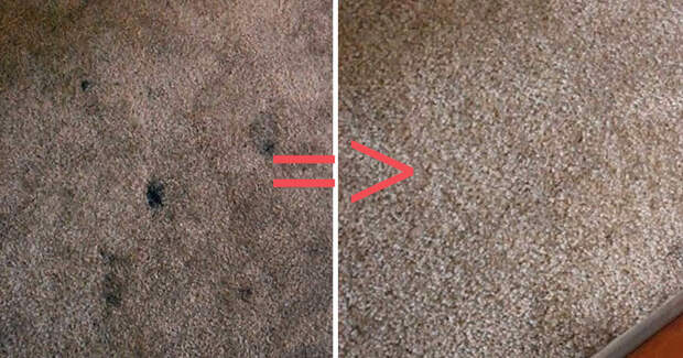 Как почистить ковёр, не тратя на это целый день: 7 лучших советов