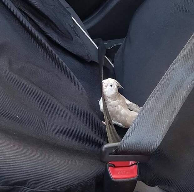 Прикольные картинки абавсём:D