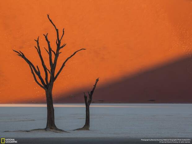 national_geographic_2014_photo_14